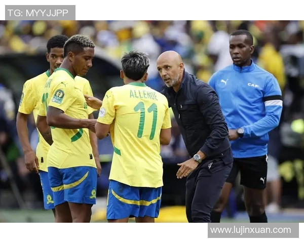 南非足球明星排行榜前十名解析与成就回顾