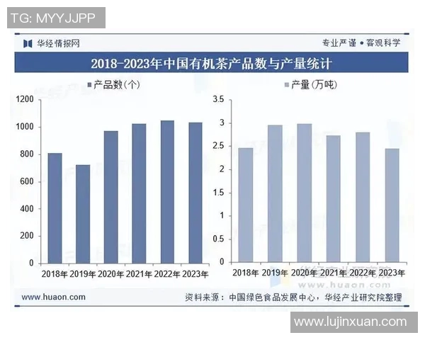 体育培训机构的未来发展潜力与市场需求分析探讨